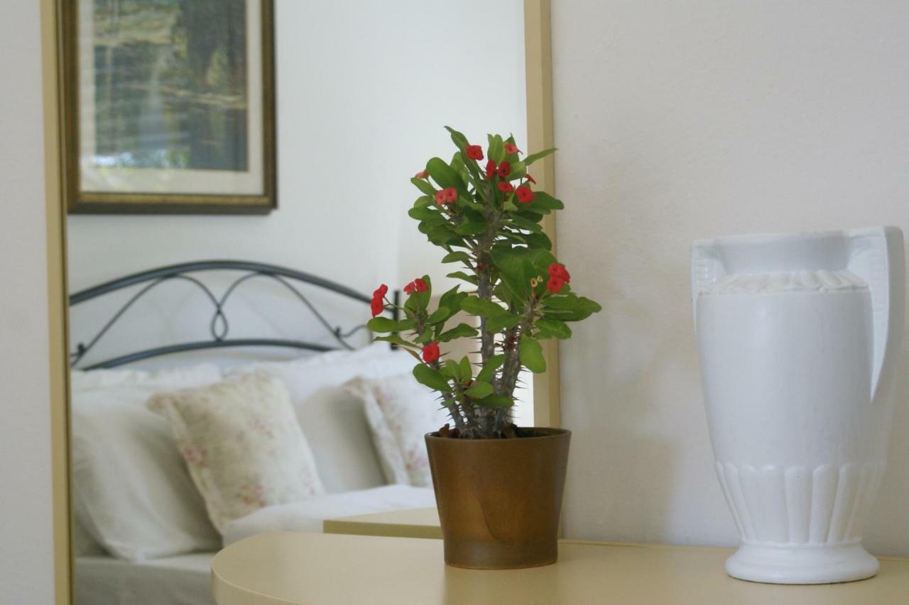 Ca Fernanda Apartment Fiesso Umbertiano Ngoại thất bức ảnh